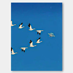 Minimalist Canvas Art #MI120